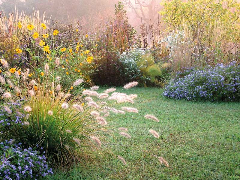 Jardin entretenu en automne