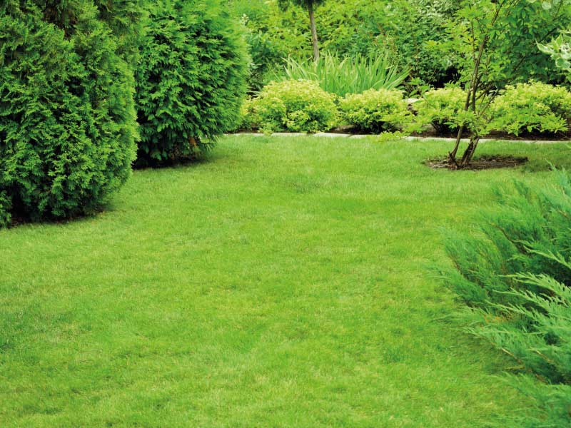 Entretien de jardin au printemps